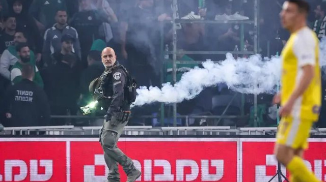  (צילום: מאור אלקסלסי)