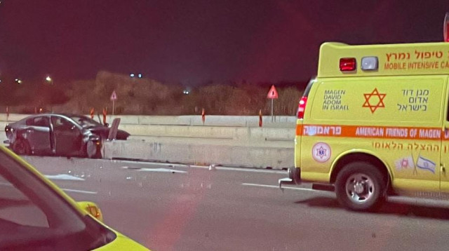 התאונה בכביש 5 (צילום: מד"א)