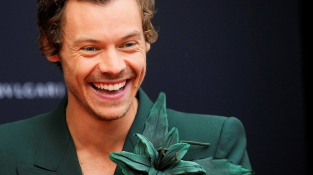 הארי סטיילס (צילום: רויטרס)