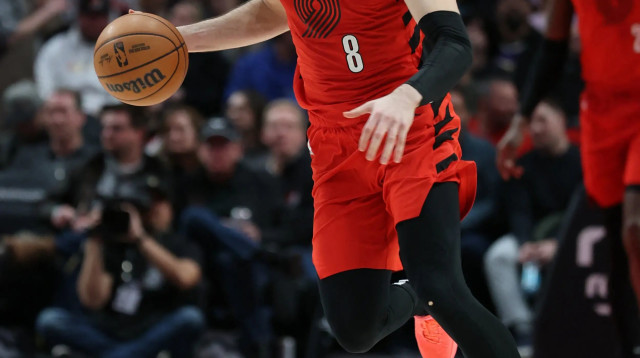 דני אבדיה, פורטלנד טריילבלייזרס (צילום: רויטרס)