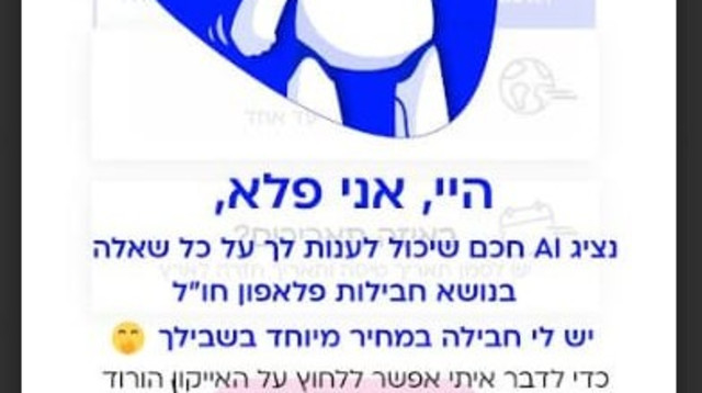 בינה מלאכותית לחבילת חו"ל (צילום: צילום מסך)