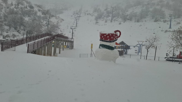 שלג בחרמון (צילום: אתר החרמון)