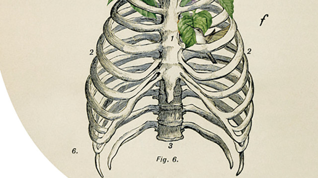 "לילך" מאת נדב טולדנו בהוצאת קינמון (צילום: יחצ)