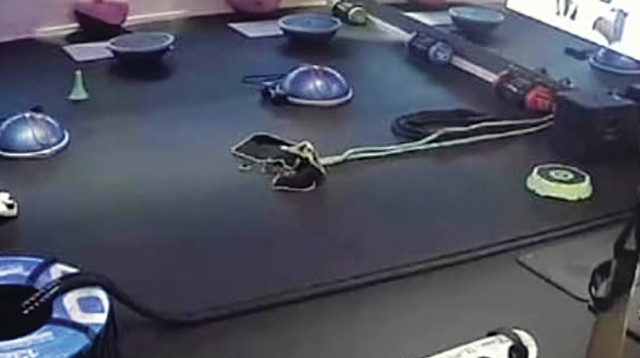 חדר הכושר ביבנה (צילום: צילום מסך)