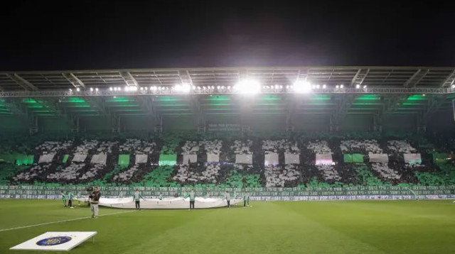 אוהדי מכבי חיפה (צילום: מאור אלקסלסי)