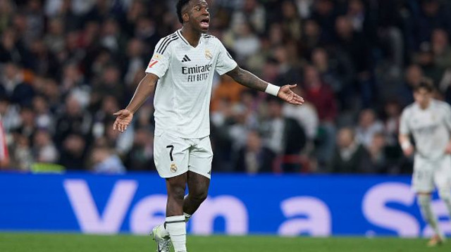 ויניסיוס (צילום: GSI)