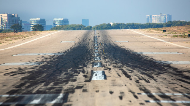 שדב דב בשנת 2019 (צילום: משה שי, פלאש 90)