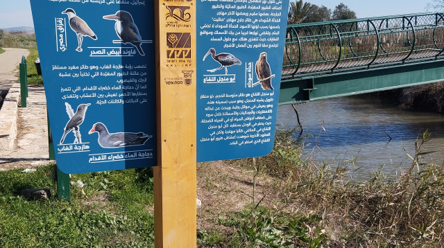 נחל נעמן (צילום: יח"צ)