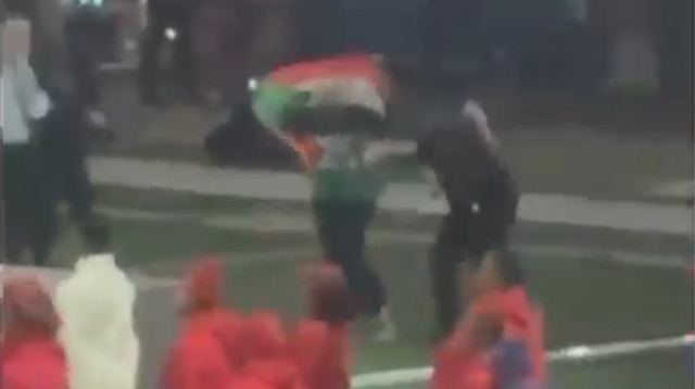 דגל פלסטין בסופרבול במופע של קנדריק לאמאר (צילום: רשתות חברתיות, שימוש לפי סעיף 27 א')