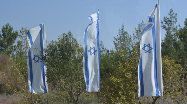 פילוגים בחברה הישראלית וחזון העתיד (צילום: FREEPIK)