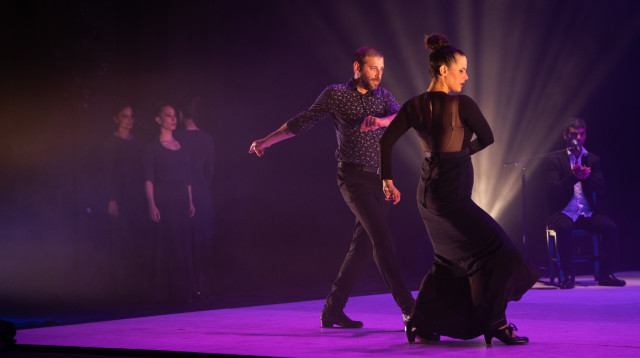 פסטיבל הפלמנקו (צילום: גיל וולפסון)