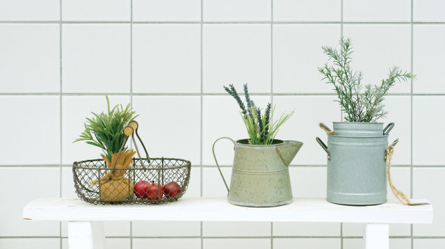 צמחים ביתיים (צילום: אינגאימג')