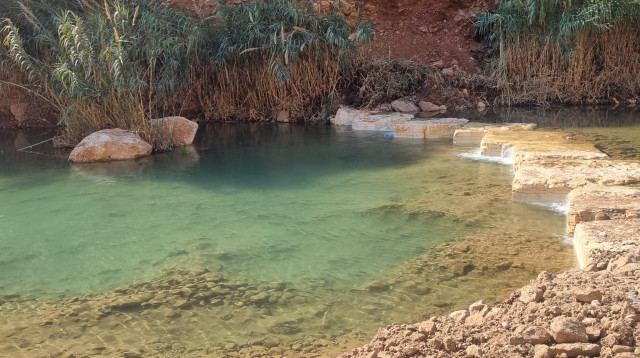 נחל ייטב (צילום: תיירות בקעת הירדן)