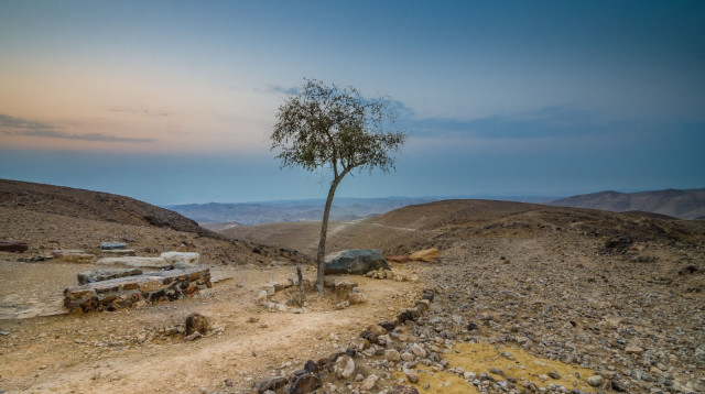 מצפה גורני, ערד (צילום: איל תמיר)