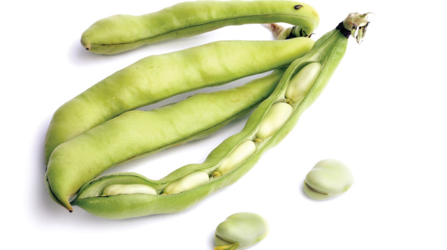 התרמיל - אחד מהסימנים המייחדים את הקטניות (צילום: אינג אימג')