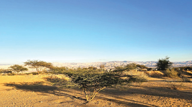 סיור בוטני לטו בשבט בנחל גידרון (צילום: הילה אלבז, הערבה התיכונה)