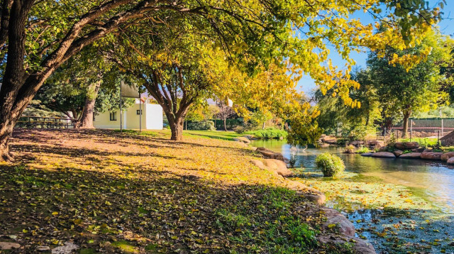 מלון מטיילים ארץ דפנה (צילום: רשת מלונות מטיילים)