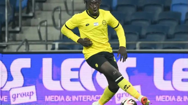 יקבל את הקרדיט? דאפה (צילום: ברני ארדוב)