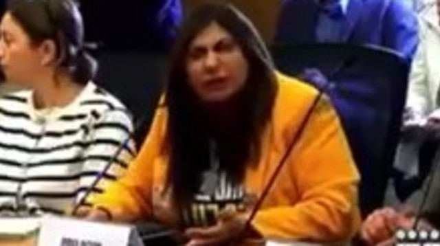 חברת הכנסת דבי ביטון (צילום: ערוץ הכנסת)