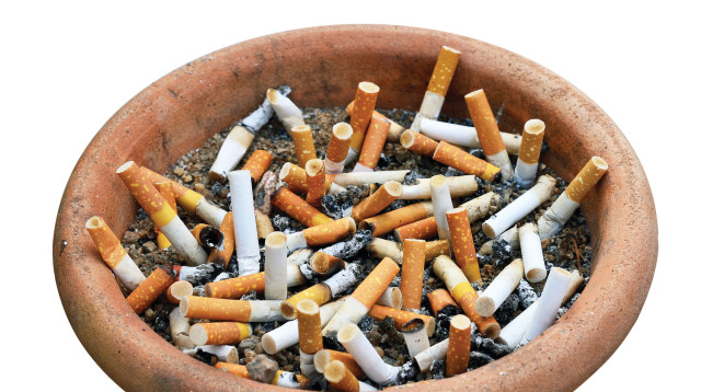 המחששה הייתה מרכז העצבים שלנו, שם הבנו לראשונה שעישון סיגריות עושה כאב ראש (צילום: אינג'אימג')