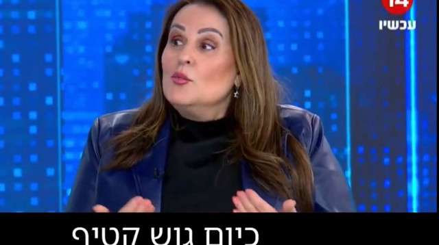 קטי שטרית (צילום: שימוש לפי סעיף 27א')