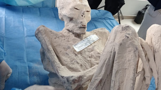 האם אלו שרידי החוצנים הראשונים שהתגלו על כדור הארץ? (צילום: צילום מסך)