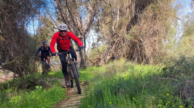 סינגל יד מרדכי (צילום: חובב לנדאו)