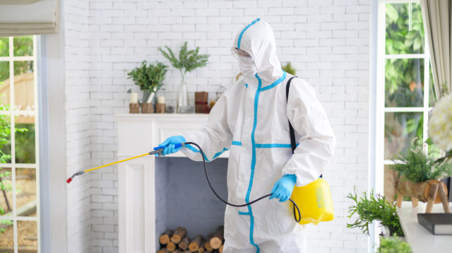 מה עדיף – הדברה ירוקה או ריסוס לבית?  (צילום: FREEPIK)