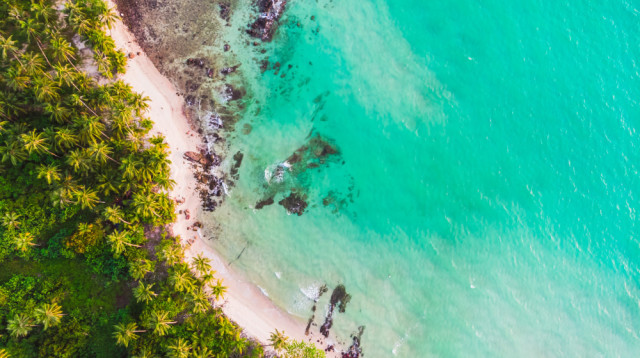 סרי לנקה – גן עדן טרופי שמחכה לכם (צילום: FREEPIK)