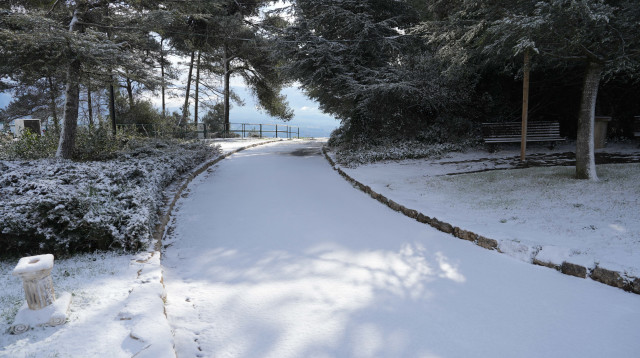 שלג ברמת הגולן (צילום: אייל מרגולין, פלאש 90)