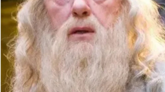 דמבלדור המקורי (צילום: gettyimages)