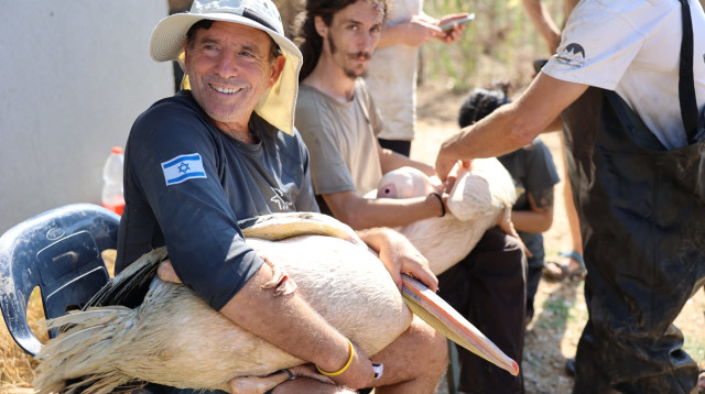 משדור שקנאים  (צילום: שי אייזקס, רשות הטבע והגנים )