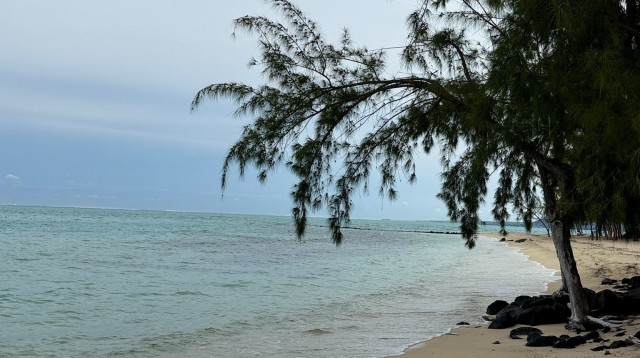 מאוריציוס (צילום: מיטל שרעבי)