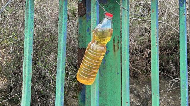 בקבוק תבערה ששמו על שער יקב כרם בן זמרה. פרוטקשן בצפון (צילום: ללא קרדיט)