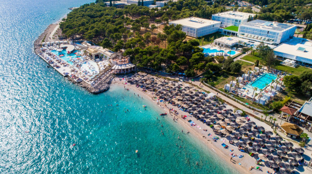 זדאר (צילום: יחצ)