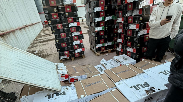 פרוטקשן במפעל בשר (צילום: פרטי)