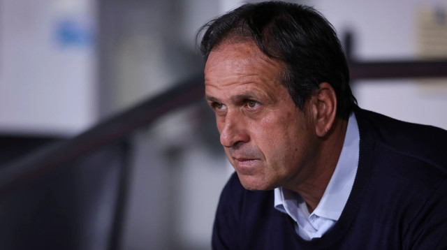 רוני לוי מאמן הפועל חיפה (צילום: מאור אלקסלסי)