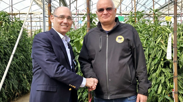 מאיר צור ואמיר ירון  (צילום:  אוסי ניר)