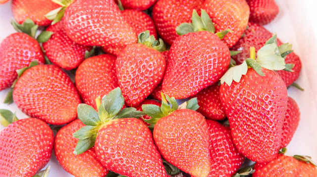 תותים (צילום: יוסי אלוני, פלאש 90)