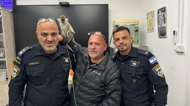 הקוף שנתפס בנגב במעמד ההעברה לרשות הטבע והגנים (צילום: דוברות המשטרה)