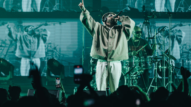 פלד בהאנגר 11 (צילום: ניר אמיתי)