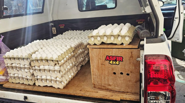 ביצים לא ראויות למאכל שנתפסו בפעילות בטמרה (צילום: דוברות המשטרה)