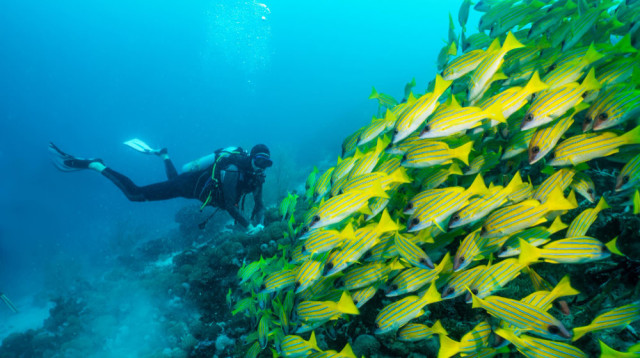 אביב באילת 2025 – הזמן המושלם לנופש (צילום: FREEPIK)