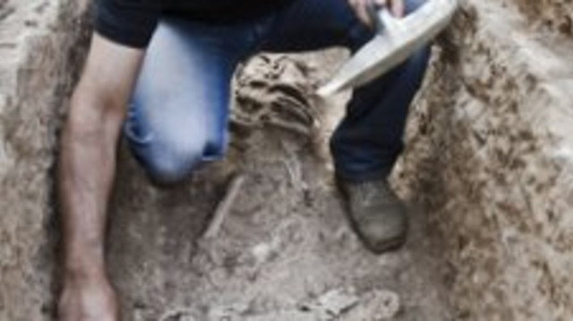 זובייר עדוי, מנהל אתר החפירה (צילום: באדיבות רשות העתיקות)