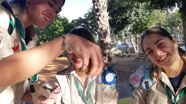 פרויקט "האוצר האבוד"  (צילום: יח"צ צופים)