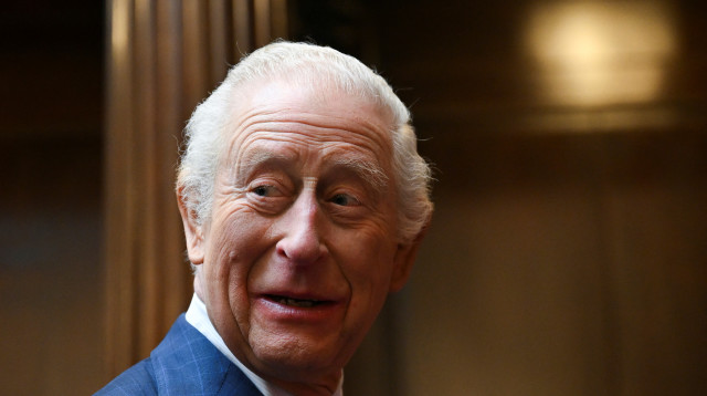 המלך צ'ארלס שלישי (צילום:  REUTERS/Jaimi Joy/Pool)