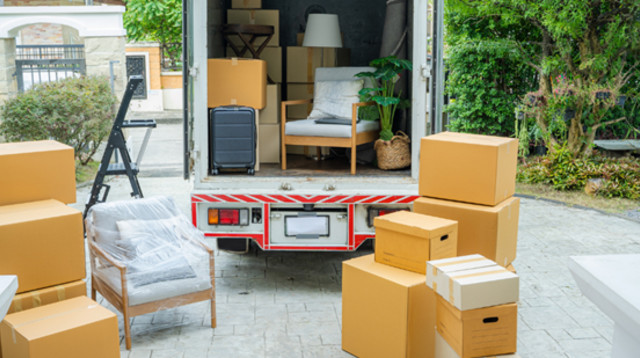 איך לבחור חברת הובלות אמינה – המדריך המלא (צילום: Canva)