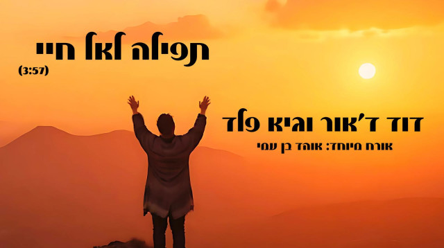 דוד ד'אור וגיא פלד אורח מיוחד אוהד בן עמי (צילום: מאיר ראש)