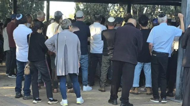  (צילום: מערכת וואלה, עופר נוסובסקי)