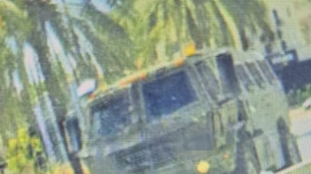 חשדות חמורים  (צילום: דוברות המשטרה)